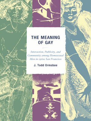 cover image of The Meaning of Gay